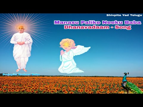 Manasu Palike Neeku Baba Dhanavadaam - Song (Bk Divine Song)