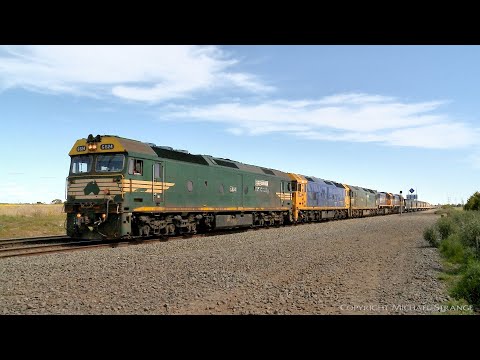 Five Locomotive Broad Gauge Pacific National Grain Train  (27/9/2021) - PoathTV Australian Railways