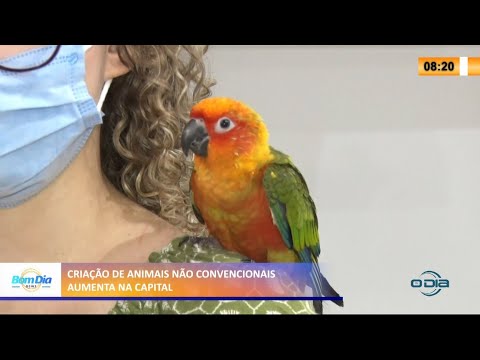 Criação de animais não-convencionais aumenta em Teresina 26 03 2021