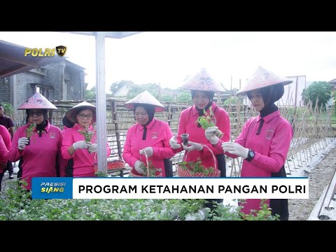 KETUA BHAYANGKARI DAERAH MALUKU UTARA TINJAU PROGRAM P2L BHAYANGKARI CABANG HALMAHERA SELATAN