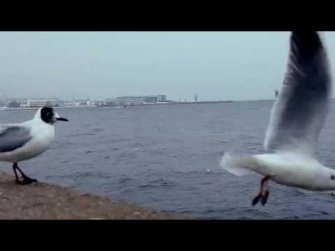 SZAJ - Ponad Wszystkim Prod. MTI