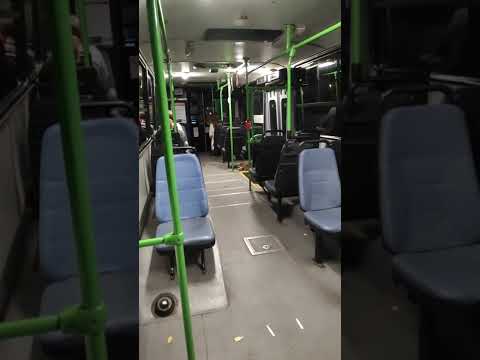 Ikarus 260.46 BPO-358 @99