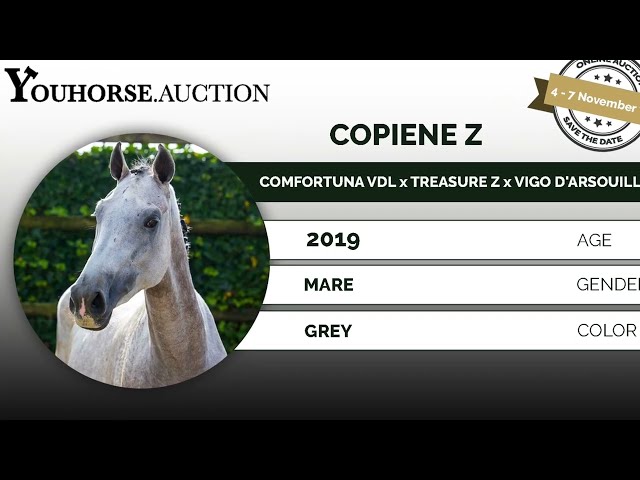 Copiene Z under the saddle