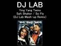 Ying Yang Twins Salt Shaker DJ Lab Mash Up Remix
