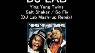 Ying Yang Twins - Salt Shaker (DJ Lab Mash-up Remix)