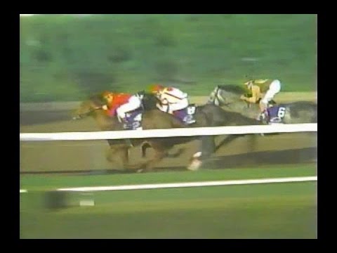 1993 Donn Handicap : ESPN Broadcast