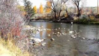 preview picture of video 'Fly Fishing on Eagle River near Eagle, Colorado'