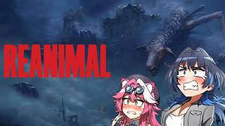 Kronii & Raora’s Ultimate Betrayal… At Its Absolute Finest |  『Hololive』