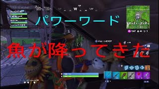魚は空から降ってくる？