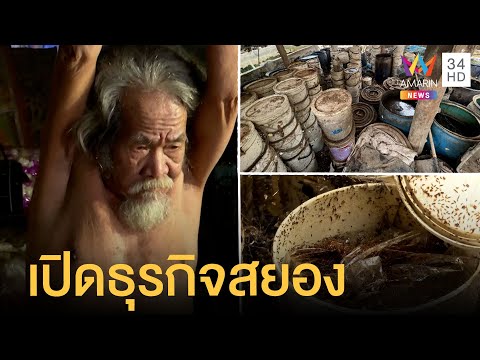 ฟีฟาย เท่ๆอักษรพิเศษ