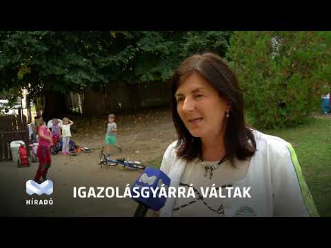 Videó előnézet