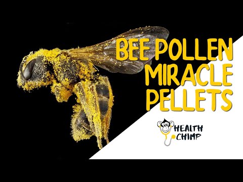 , title : 'What is Bee Pollen - The Miracle Food? (7 Health Benefits & 3 Dangers)'