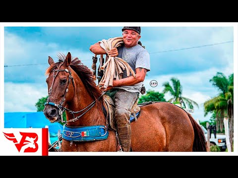 Vivendo de Vaquejada - Tarcisio do Acordeon (Clipe Vaquejada) VB Official