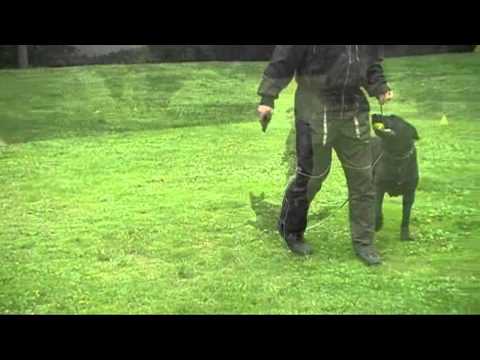 Aryzain Sibaryani - 14 months