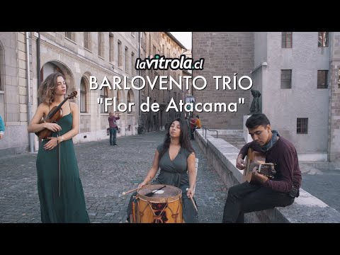 LaVitrola.cl: Barlovento Trío - Flor de Atacama