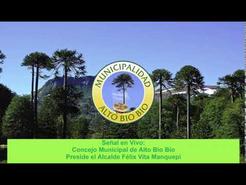 Concejo Municipal Alto Bío Bío.