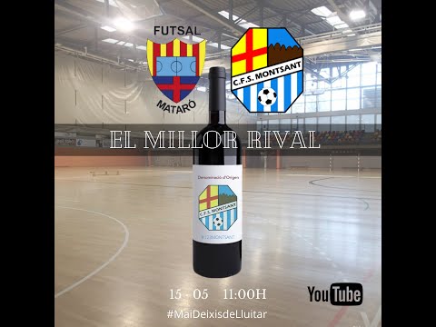 SENIOR B Avicola Vinyals - CFS MONTSANT