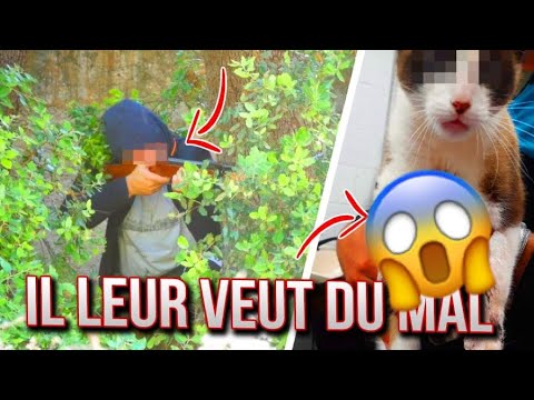 TOUTE L'ÉQUIPE VOULAIT LUI DONNER UNE BONNE LEÇON ! ( CAM OFF )