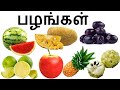 Fruits Name In Tamil பழங்களின் பெயர்கள் தமிழில் Adip