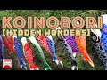 Hidden Wonders Of Japan Koinobori Floating In The Wind And Swaying With The Tide JAPAN Forward