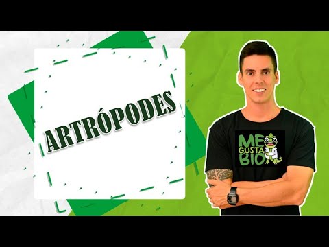 ARTRÓPODES - PROFESSOR GUSTAVO