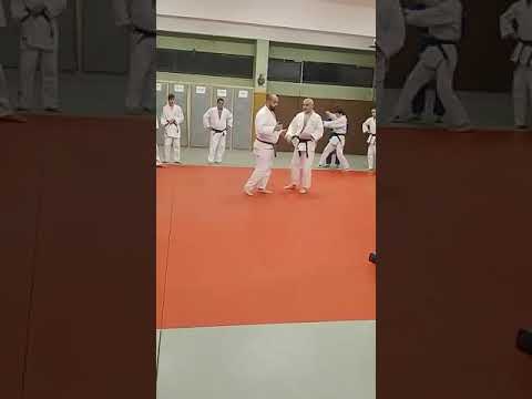 Lasha Gujejiani Makikomi