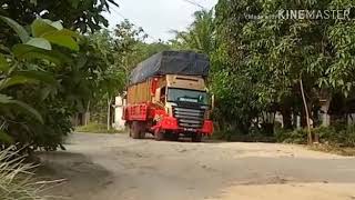 Download lagu Truck nirwana lagi merana mp3 Download lagu Truck nirwana lagi merana mp3