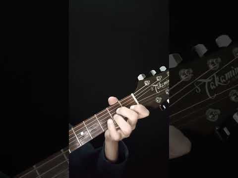Passageiro - Roberto Riberti