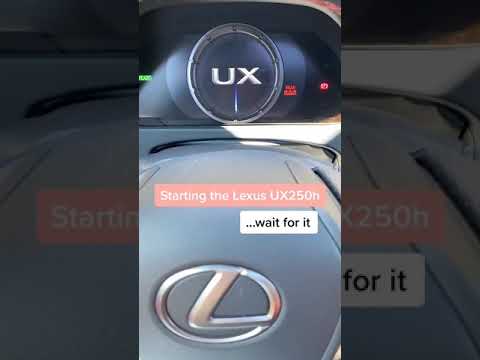 2020 Lexus UX250h