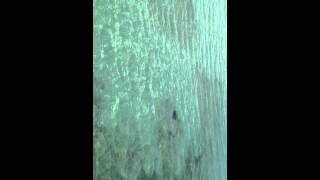 IMG 14881