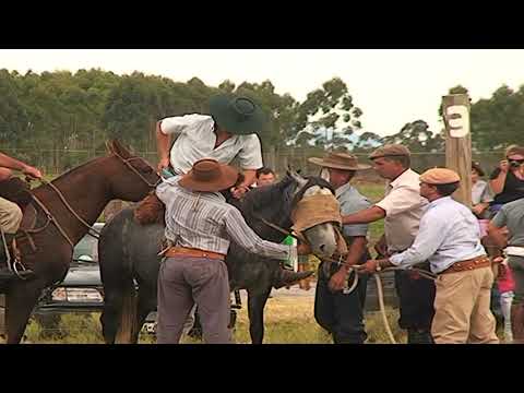 OMBUES DE BENTANCOR CRIOLLAS DE TURISMO 2014