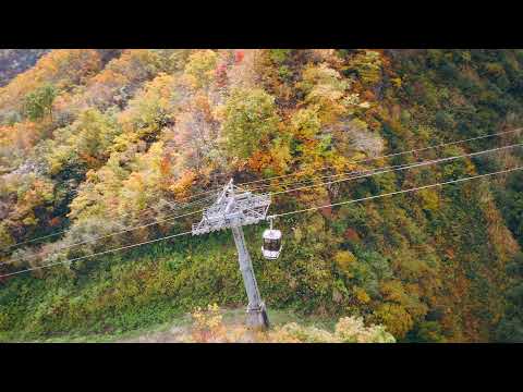 ロッテアライリゾート観光ゴンドラ