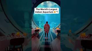 The World’s Largest Indoor Aquarium