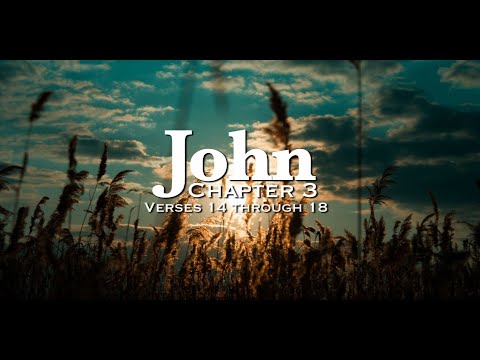 John 3:14-18