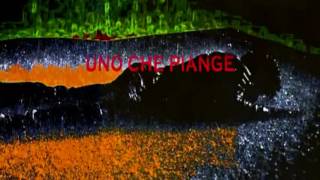 La Mia Via My Way   Fred Bongusto   1971