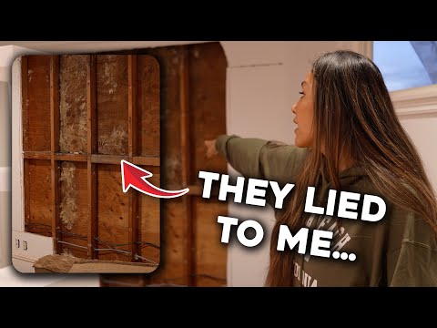 My House Update…Leaks, Mold, and More Problems