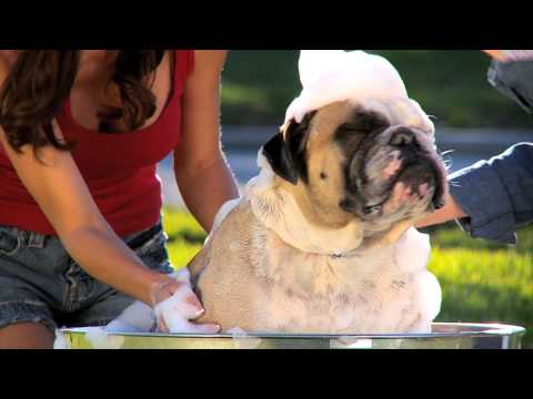 Jacqueline Morgan Day Spa - Be Beautiful