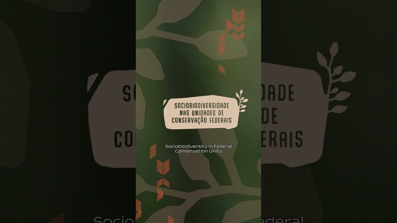 Acesso a políticas públicas aos Povos e Comunidades Tradicionais (PCTs)