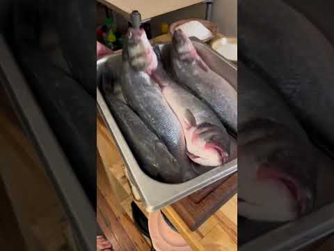 smoked whitefish salad part one