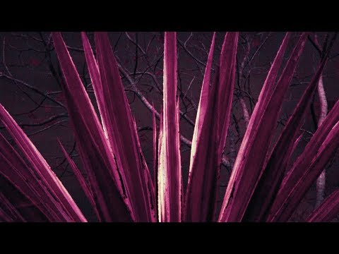 Terra Treme ft. Uma Sey - Tremble