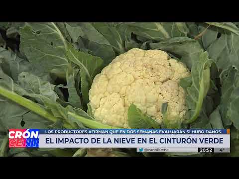 Precios: la nieve impacta en el cinturón verde