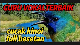 Download lagu MASTERAN CUCAK KINOI GACOR FULL BESETAN DAN ISIAN❗COCOK UNTUK MASTERAN MURAI BATU DAN CUCAK IJO mp3