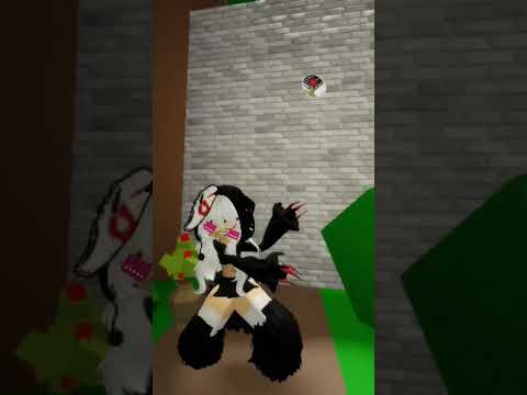 14 de dezembro de 2025