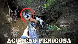 DECISÃO EM SEGUNDOS | JAVALI BRASIL