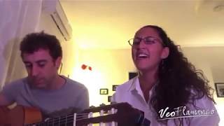 CARMEN ROMERO "Dame luz" de Antonio Carmona | VEOFLAMENCO