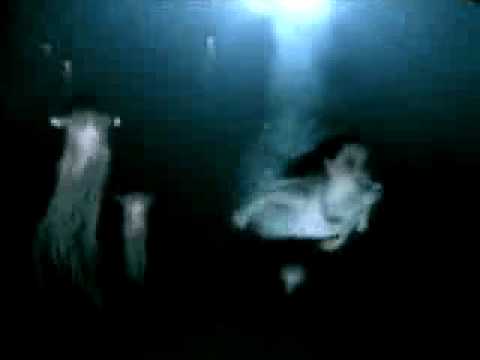 Evanescence VS Marilyn Manson 【MashUp】 Going Under - This Is The New Shit