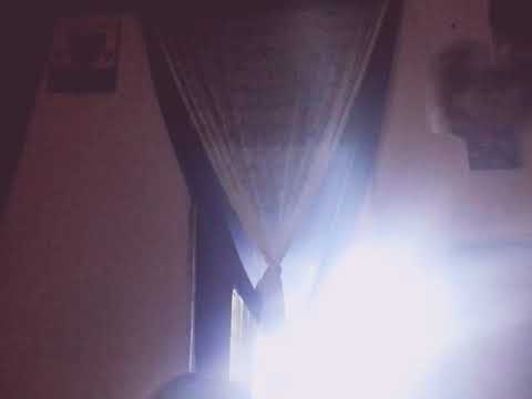 Galopløb Manuel Victor evangelista Galopløb