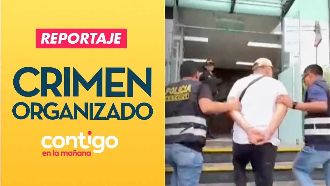REPORTAJE | Las 19 bandas del crimen organizado que ya operan en Chile - Contigo en la Mañana