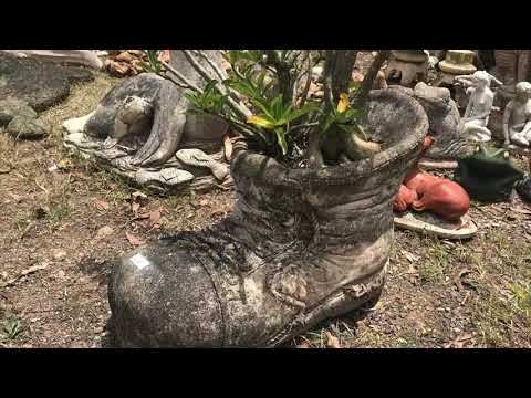 Onsite Auction Gympie