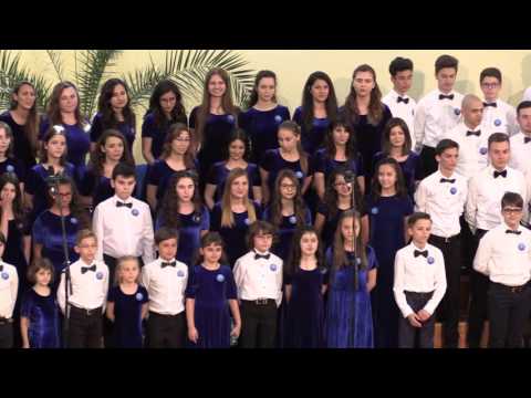 Flori si Stele - Flori si stele surori se aflau